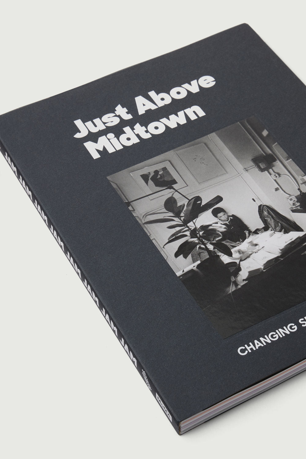 Livre 'Just Above Midtown : Changing Spaces'